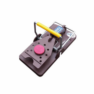 Piège spécial souris Gorilla Trap, piège robuste et réutilisable pour capturer efficacement les souris.
