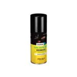 Spray Digrain Choc Instantané 100ml, insecticide contre les guêpes, élimine rapidement les nids.