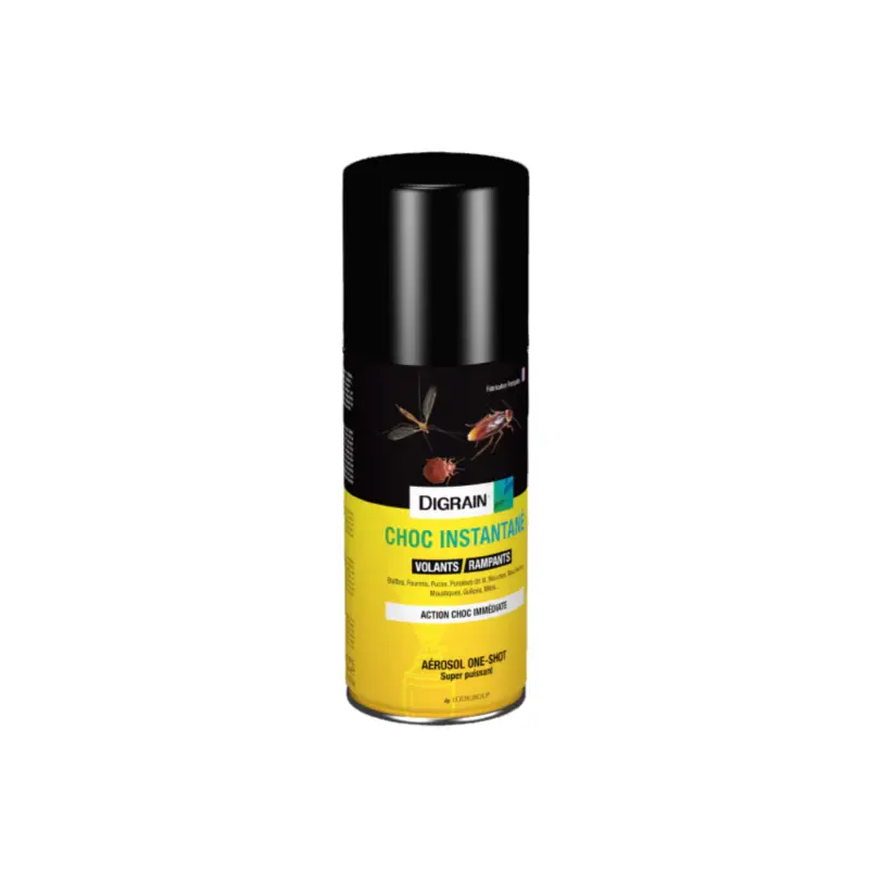 Spray Digrain Choc Instantané 100ml, insecticide contre les guêpes, élimine rapidement les nids.