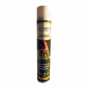 AEROSOL CHOC GUEPES ET FRELONS - 750ML